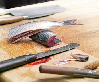 Pinza spina pesce professional per eliminare spine e lische